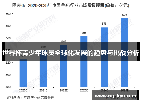 世界杯青少年球员全球化发展的趋势与挑战分析