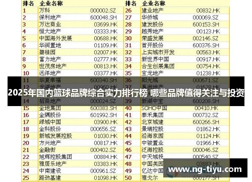 2025年国内篮球品牌综合实力排行榜 哪些品牌值得关注与投资